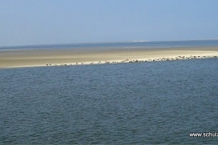 118_Wangerooge