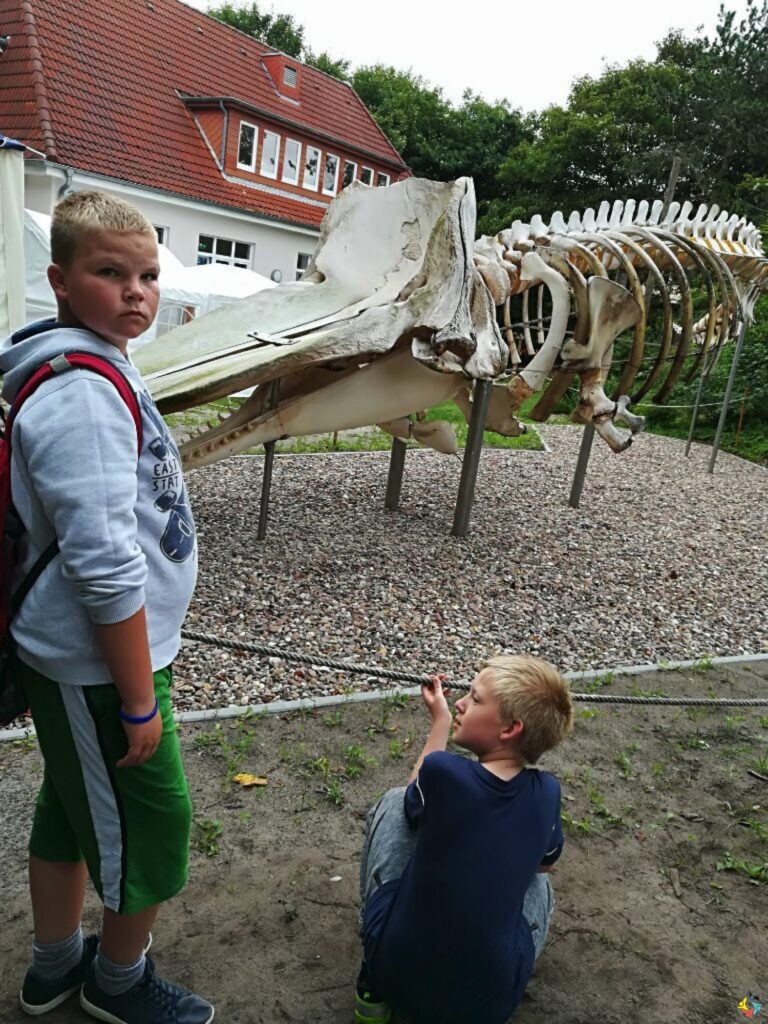 Foto 17 von 17: Verlängerte Sommerferien auf Wangerooge