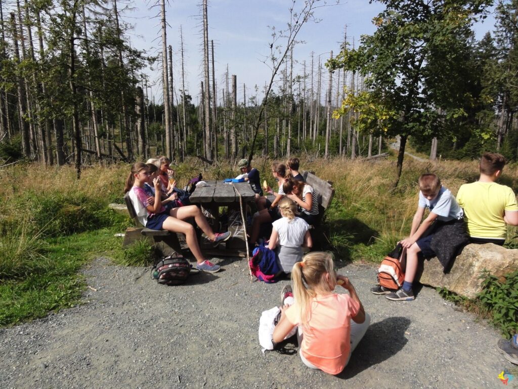 Foto 15 von 31: Klassenfahrt nach Goslar