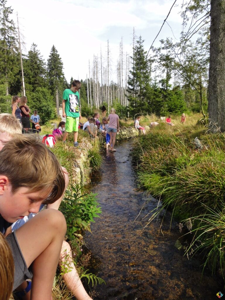 Foto 25 von 31: Klassenfahrt nach Goslar