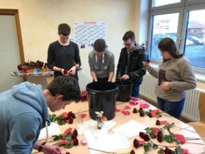 Foto zum Beitrag: Rosenaktion