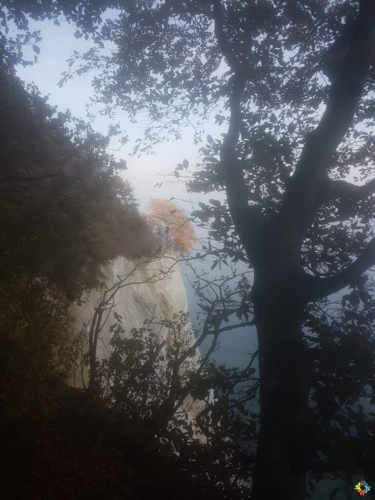 Foto 6 von 22: Krokodille-Zoo und Møns Klint