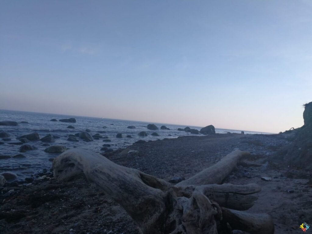 Foto 7 von 22: Krokodille-Zoo und Møns Klint