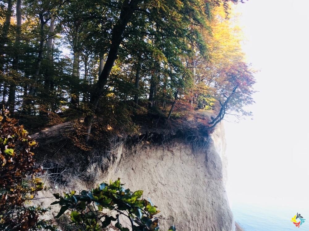 Foto 3 von 22: Krokodille-Zoo und Møns Klint