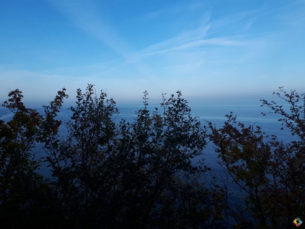 Foto 10 von 22: Krokodille-Zoo und Møns Klint