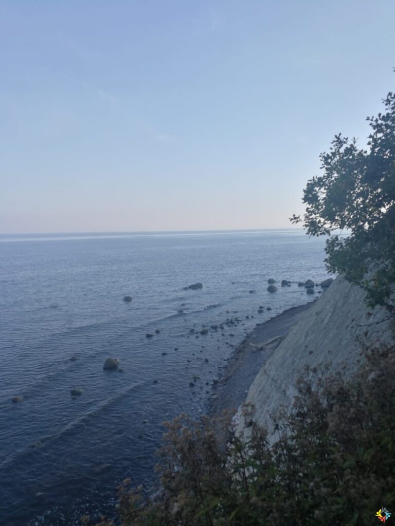 Foto 4 von 22: Krokodille-Zoo und Møns Klint
