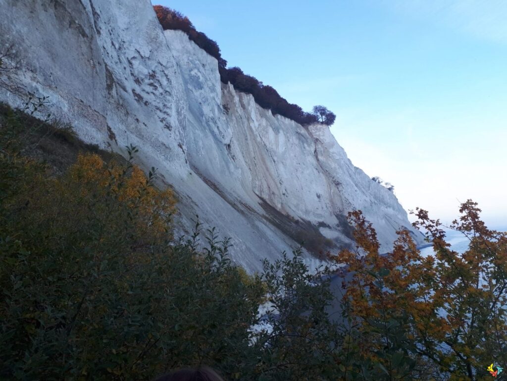 Foto 11 von 22: Krokodille-Zoo und Møns Klint