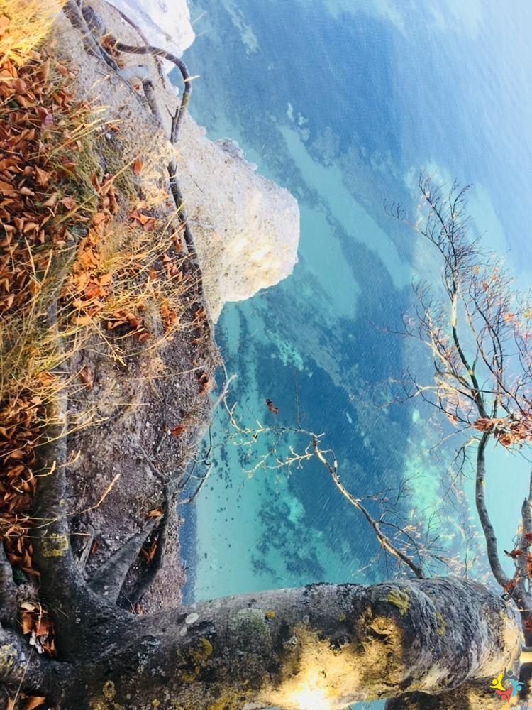 Foto 12 von 22: Krokodille-Zoo und Møns Klint