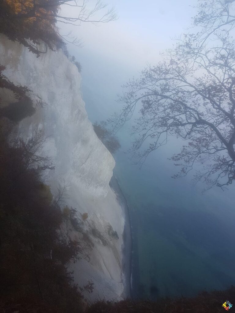 Foto 13 von 22: Krokodille-Zoo und Møns Klint