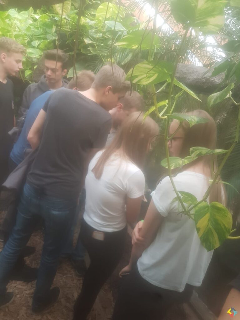 Foto 16 von 22: Krokodille-Zoo und Møns Klint