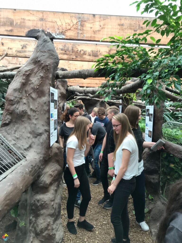 Foto 20 von 22: Krokodille-Zoo und Møns Klint