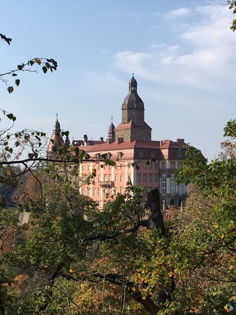 Foto 4 von 7: Zum 22. Mal in Środa Śląska