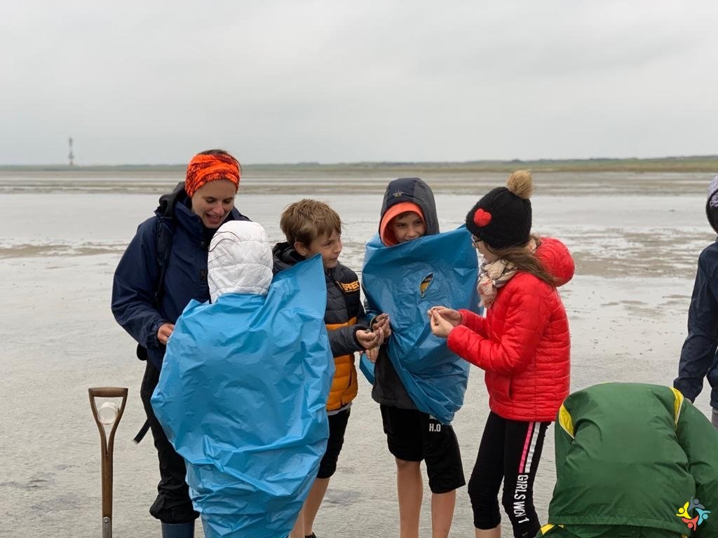 Foto zum Beitrag: Wangerooge 2019