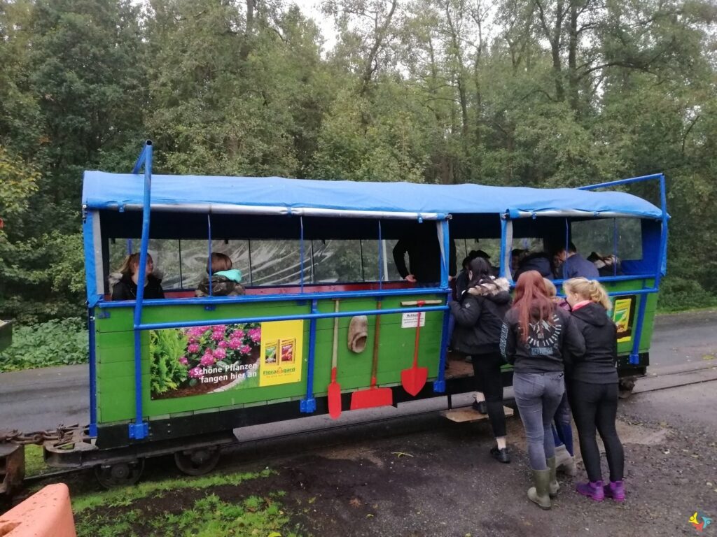 Foto 1 von 19: Projekttag in der Natur