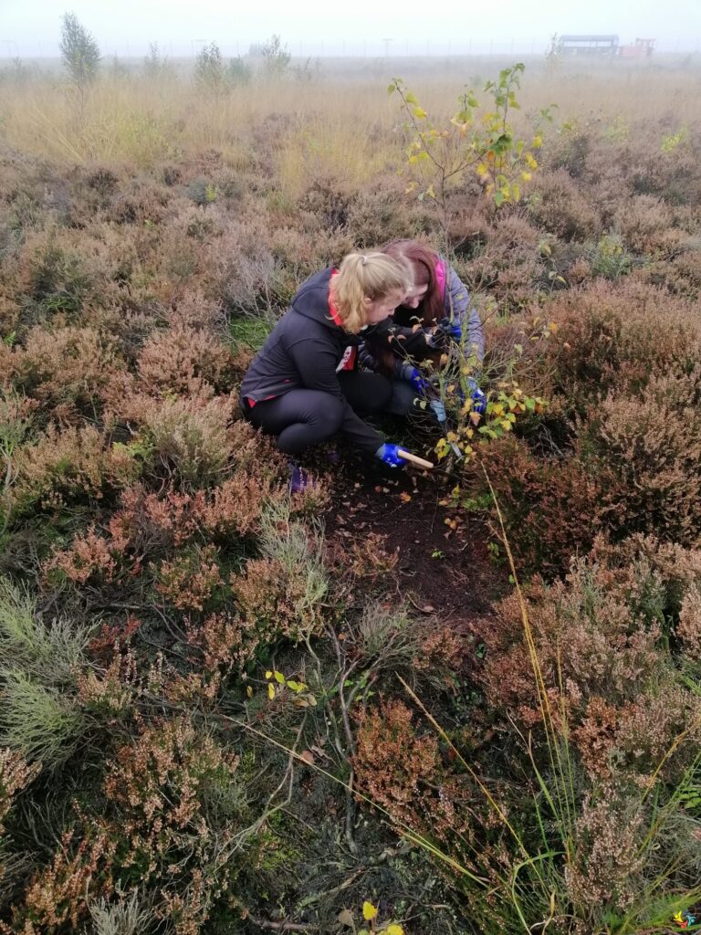 Foto 8 von 19: Projekttag in der Natur