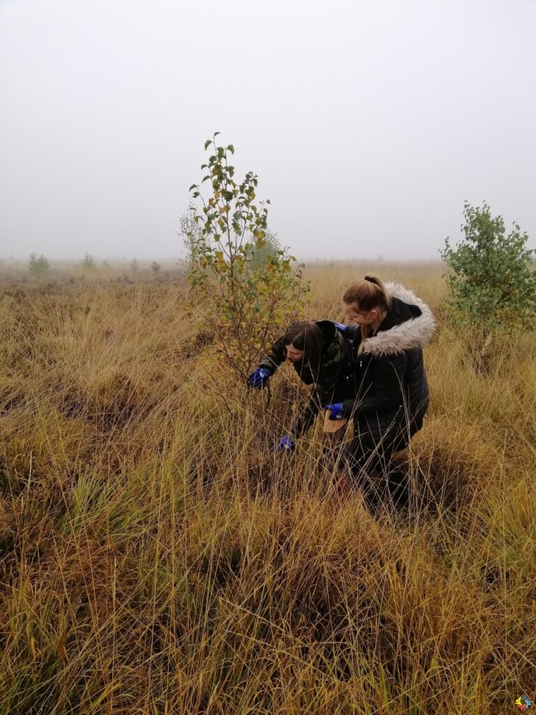 Foto 9 von 19: Projekttag in der Natur