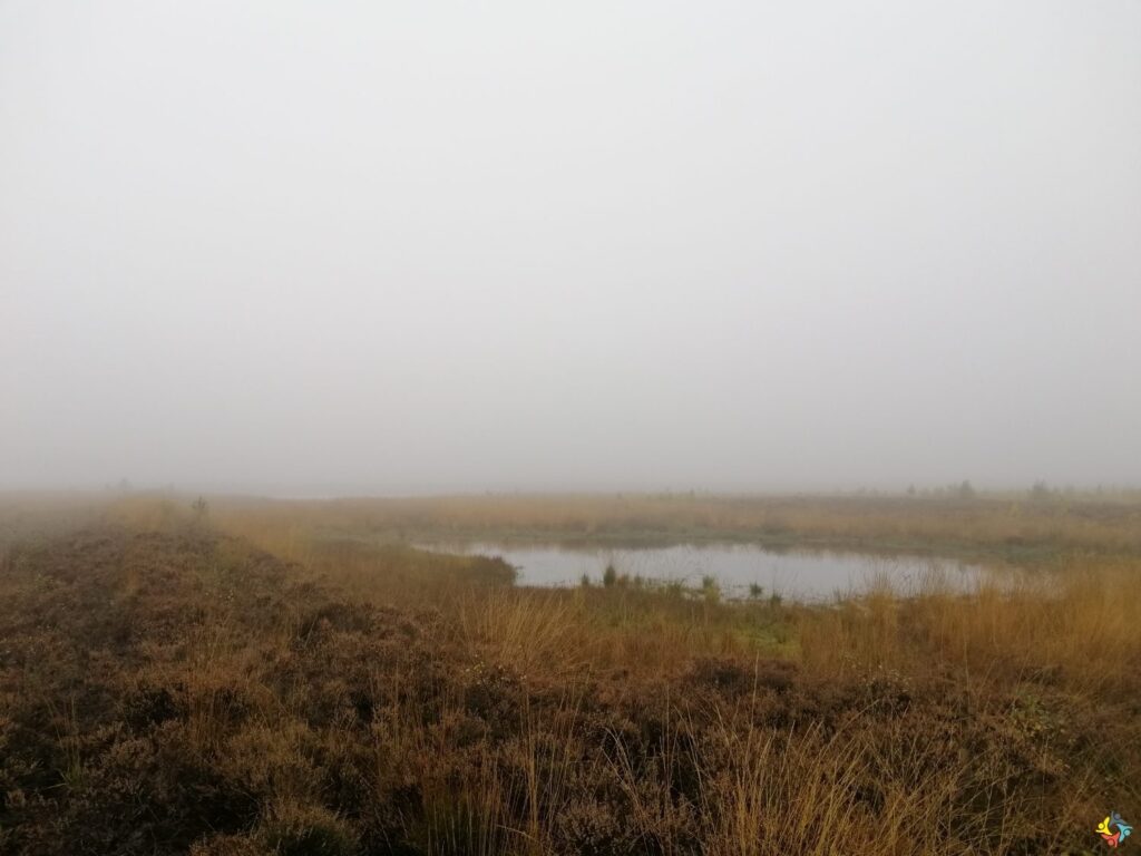 Foto 14 von 19: Projekttag in der Natur