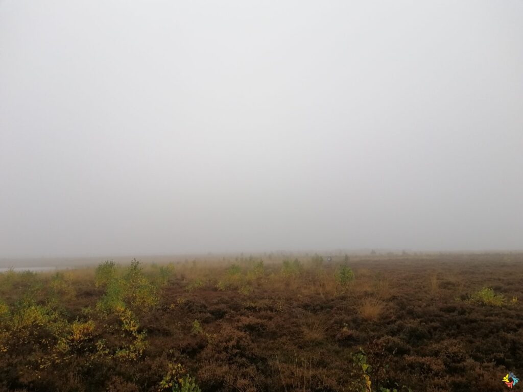 Foto 15 von 19: Projekttag in der Natur