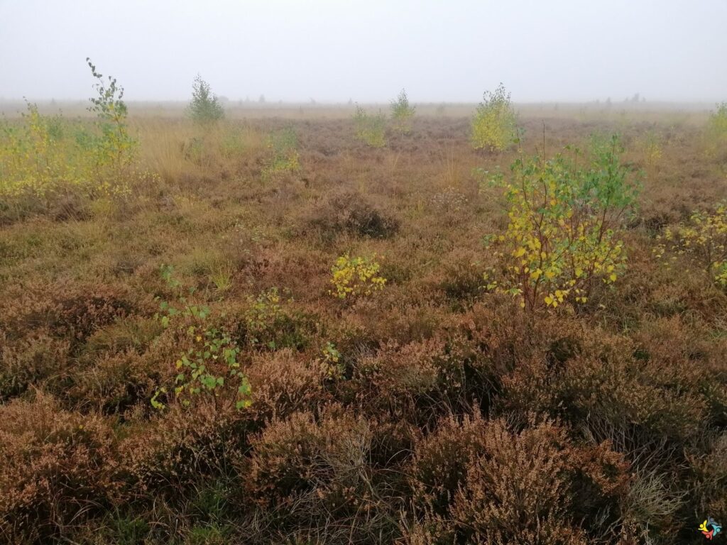 Foto 17 von 19: Projekttag in der Natur