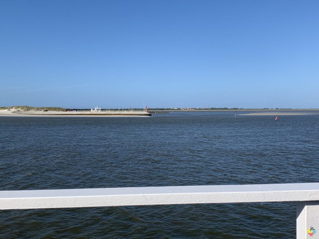 Foto 19 von 29: Wangerooge lässt grüßen!