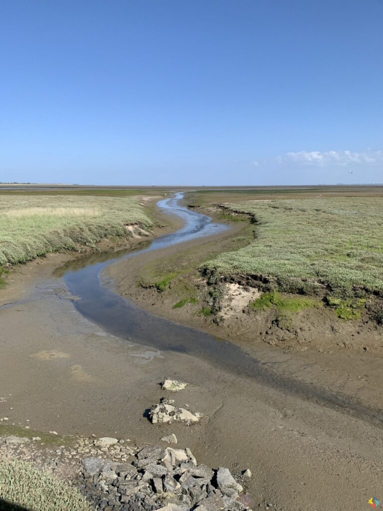 Foto 24 von 29: Wangerooge lässt grüßen!