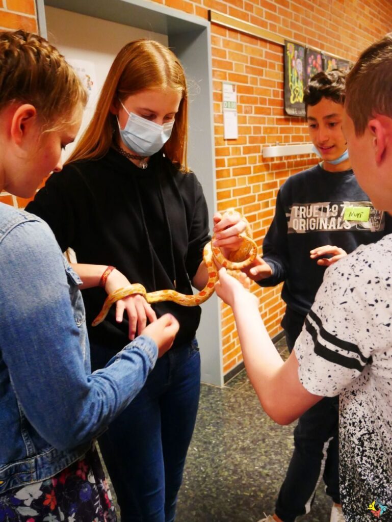 Foto 1 von 29: Projekttage mit buntem Programm