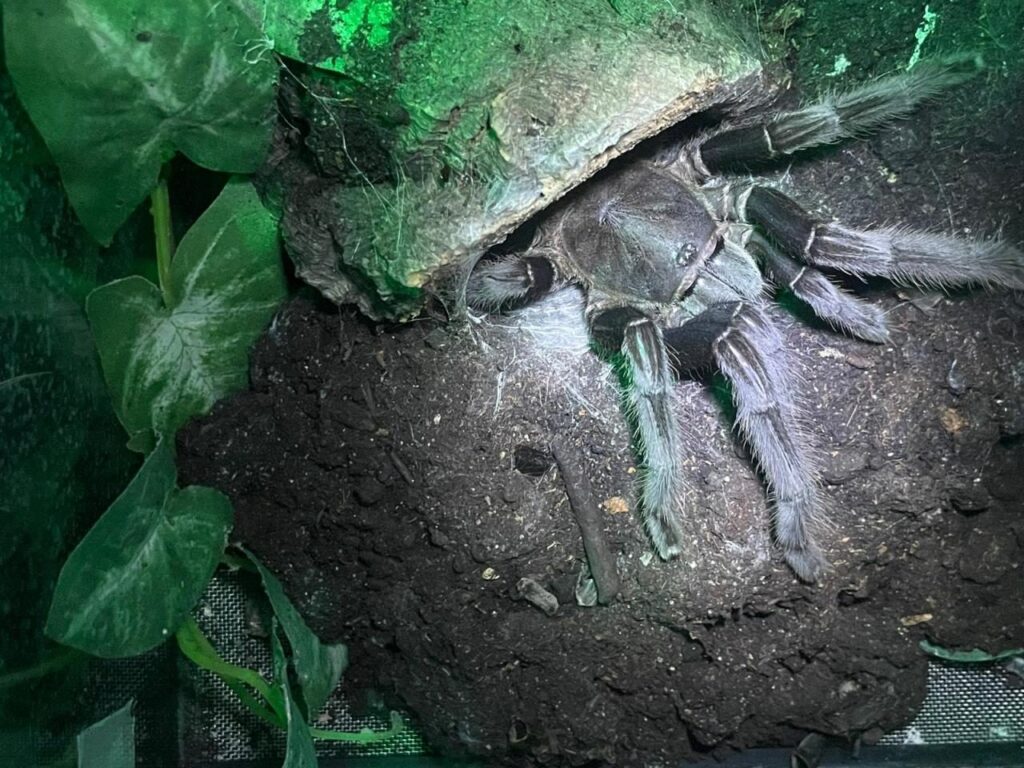 Foto 5 von 6: Schulvivarium Saterland auf der Messe „Mein Tier“
