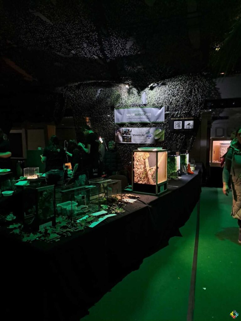 Foto 2 von 5: Tiermesse – Mein Tier
