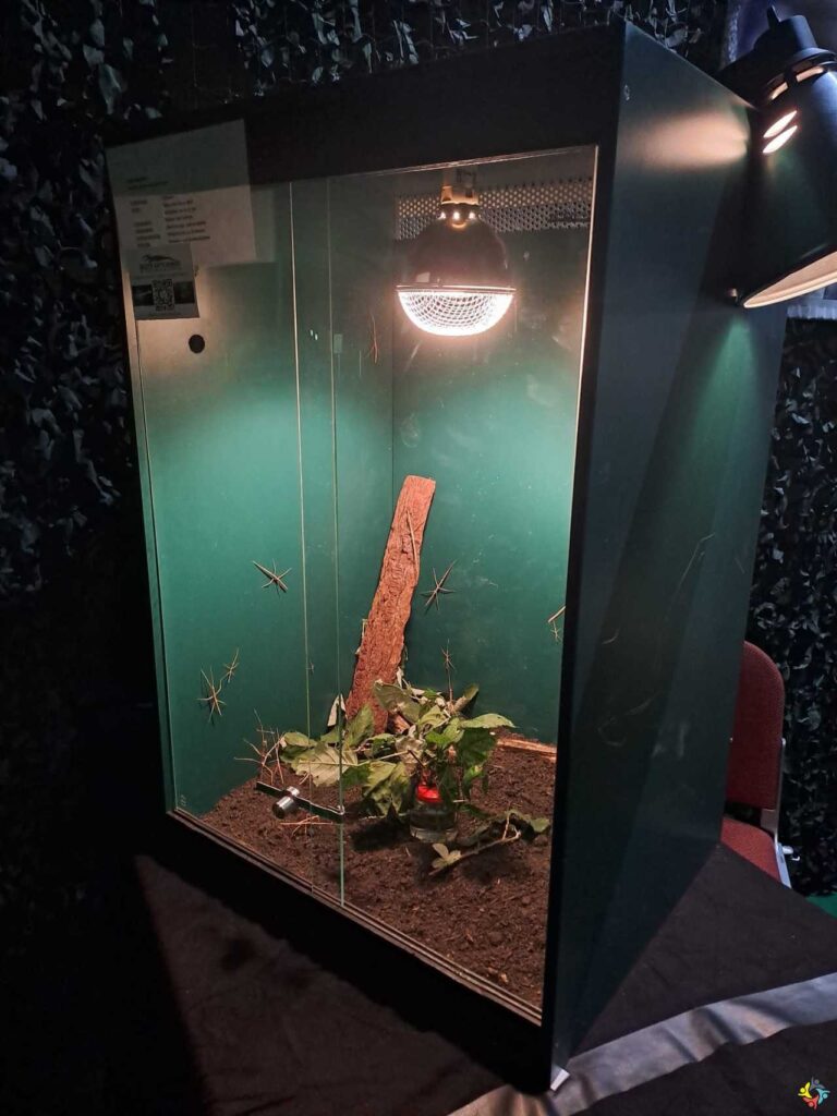 Foto 3 von 5: Tiermesse – Mein Tier