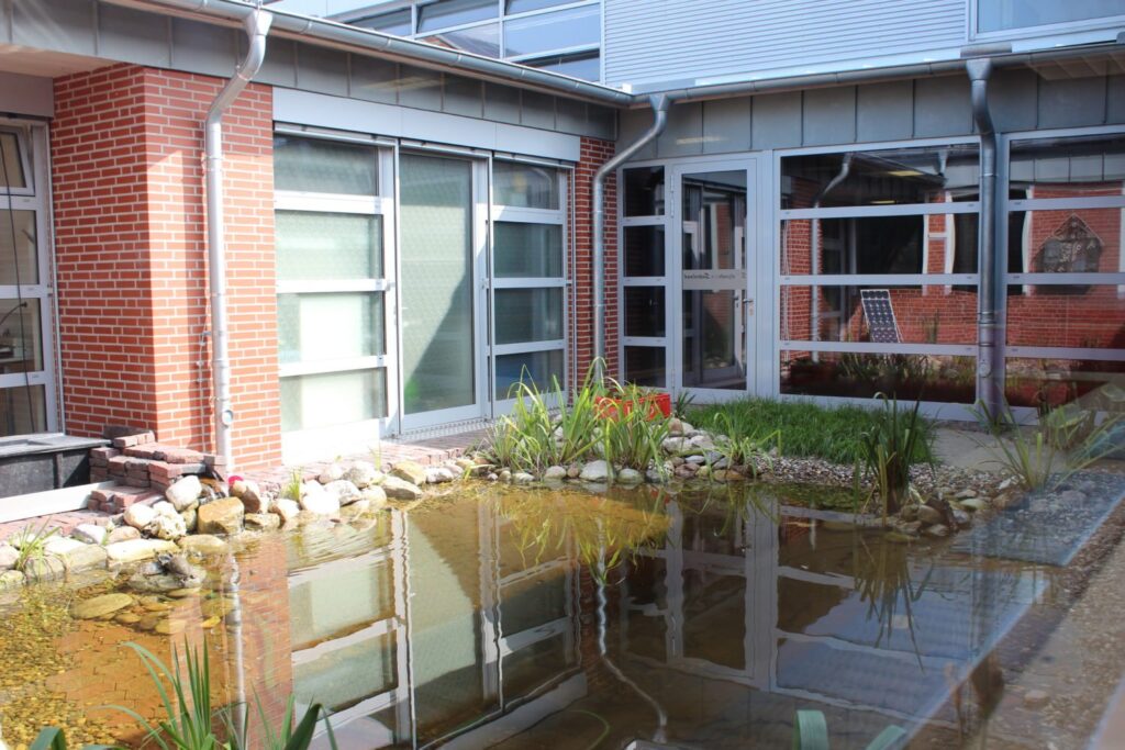 Teich im Innenhof der Schule mit Wasserpflanzen und Steinen